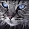 Cat Portrait Oil Painting Home Decor Premium Quality Poster Print Choose Your Sizes - Image 2