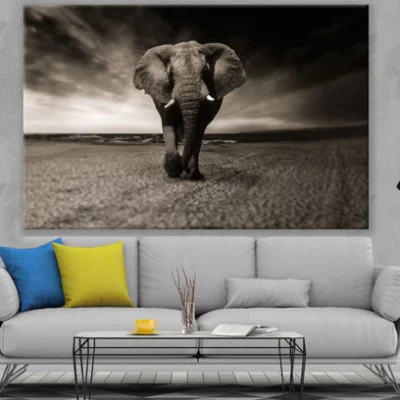 Elephant Closeup Photograph Print 100% Australian Made