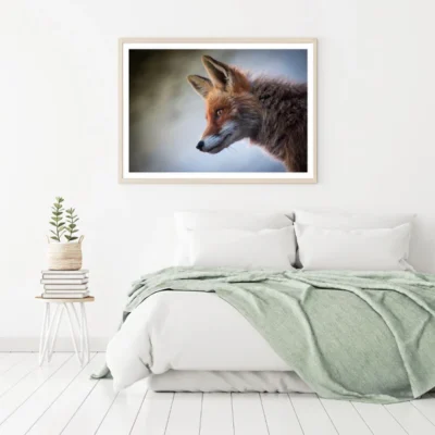 Fox Portrait Closeup Photograph Home Decor Premium Quality Poster Print Choose Your Sizes