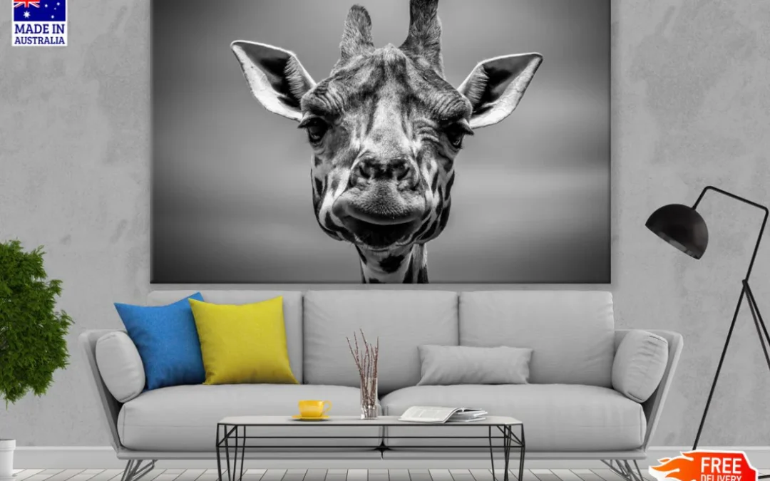 Giraffe Portrait B&W Photograph Print 100% Australian Made