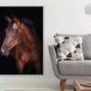 Horse Portrait Photograph Print 100% Australian Made