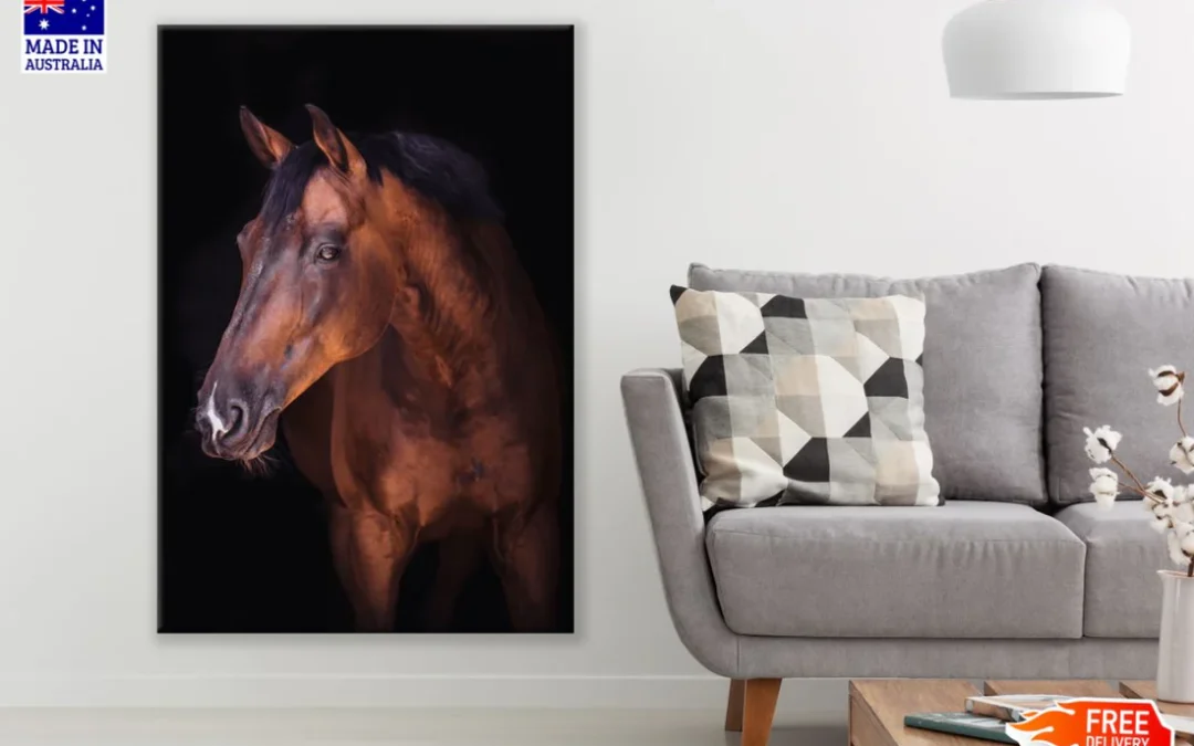 Horse Portrait Photograph Print 100% Australian Made