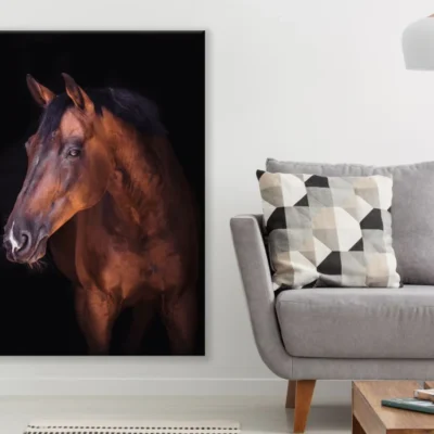 Horse Portrait Photograph Print 100% Australian Made