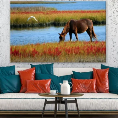Horse Near Waterstream Photograph Print 100% Australian Made