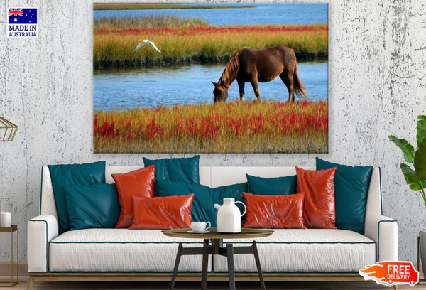 Horse Near Waterstream Photograph Print 100% Australian Made