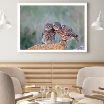 Owls on a Rock Photograph Home Decor Premium Quality Poster Print Choose Your Sizes