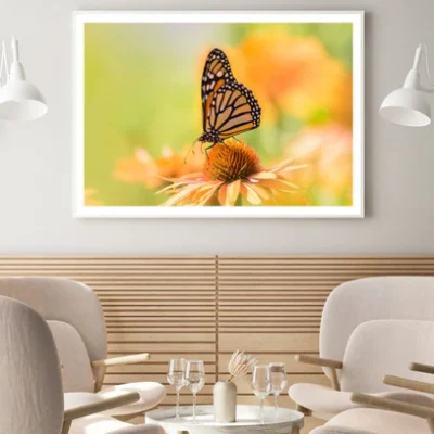 Butterfly On a Flower Photograph Home Decor Premium Quality Poster Print Choose Your Sizes
