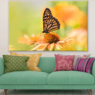 Butterfly On a Flower Photograph Print 100% Australian Made