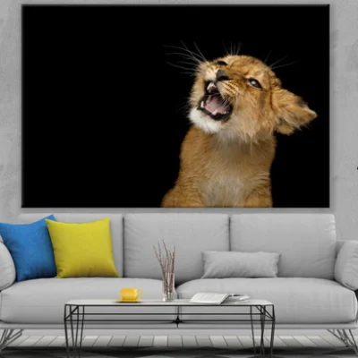 Lion Cub Portrait Photograph Print 100% Australian Made