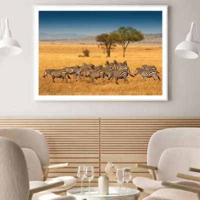 Zebras Running Photograph Home Decor Premium Quality Poster Print Choose Your Sizes