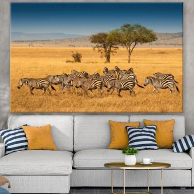 Zebras Running Photograph Print 100% Australian Made