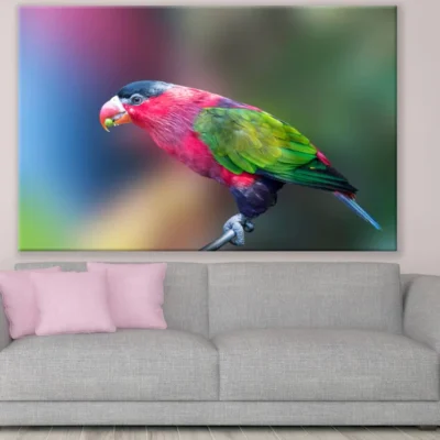 Colorful Bird Closeup Photograph Print 100% Australian Made