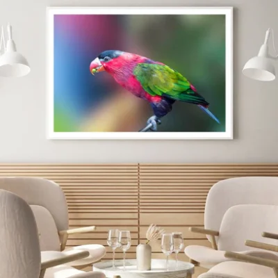 Colorful Bird Closeup Photograph Home Decor Premium Quality Poster Print Choose Your Sizes