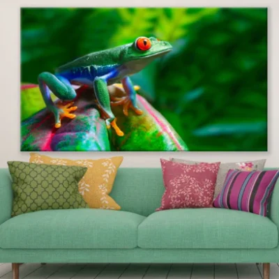 Frog Closeup Photograph Print 100% Australian Made