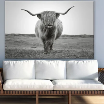 Highland Cow Portrait B&W View Print 100% Australian Made
