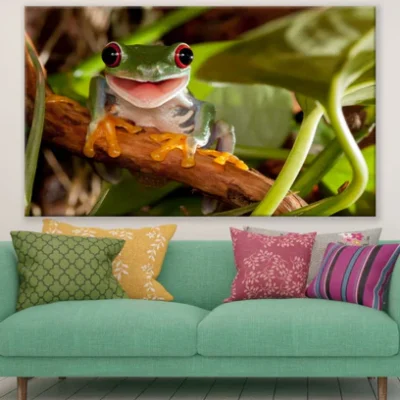 Frog on Tree Closeup Photograph Print 100% Australian Made