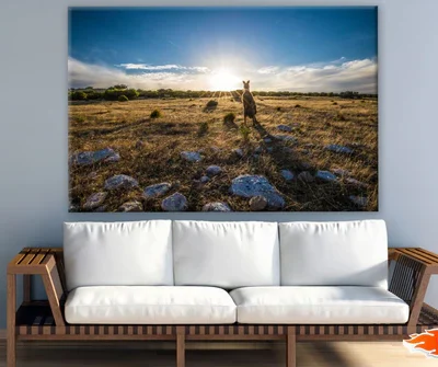 Kangaroo in Field Photograph Print 100% Australian Made