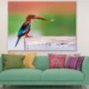Kingfisher Bird with a Fish Print 100% Australian Made