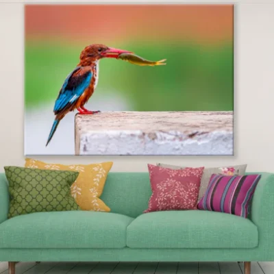 Kingfisher Bird with a Fish Print 100% Australian Made