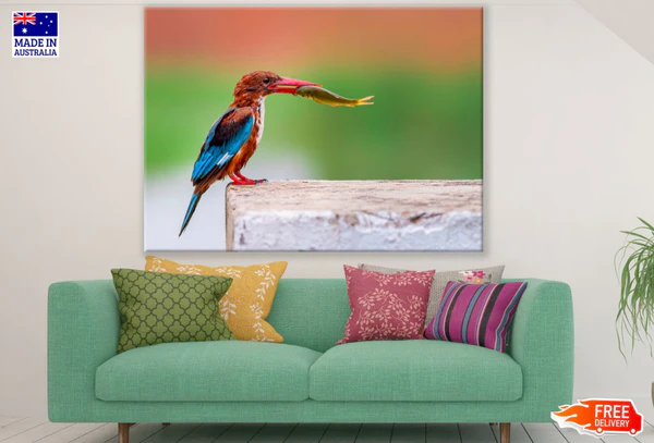Kingfisher Bird with a Fish Print 100% Australian Made