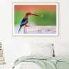 Kingfisher Bird with a Fish Home Decor Premium Quality Poster Print Choose Your Sizes