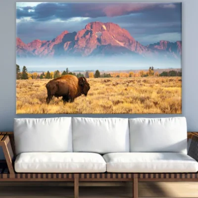 Bison on Field Near Mountain Print 100% Australian Made