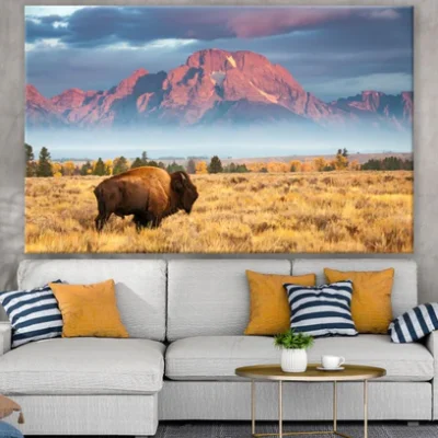 Bison Cow in Grass Field View Print 100% Australian Made