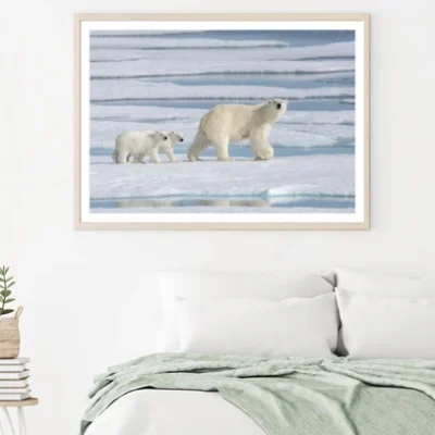 Polar Bears Cubs On Forzen Water Home Decor Premium Quality Poster Print Choose Your Sizes