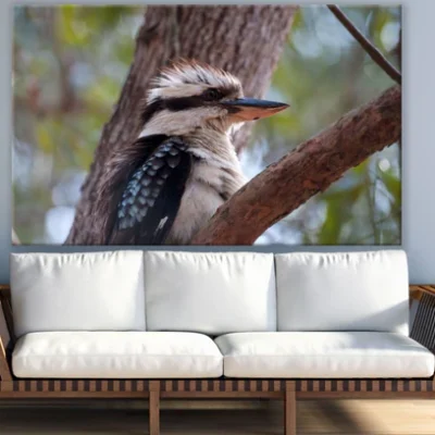 Kookaburra Bird on a Tree View Print 100% Australian Made