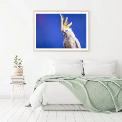 Cockatoo Bird Closeup Photograph Home Decor Premium Quality Poster Print Choose Your Sizes