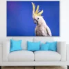 Cockatoo Bird Closeup Photograph Print 100% Australian Made