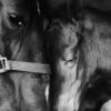 Horse Portrait B&W Photograph Home Decor Premium Quality Poster Print Choose Your Sizes - Image 2