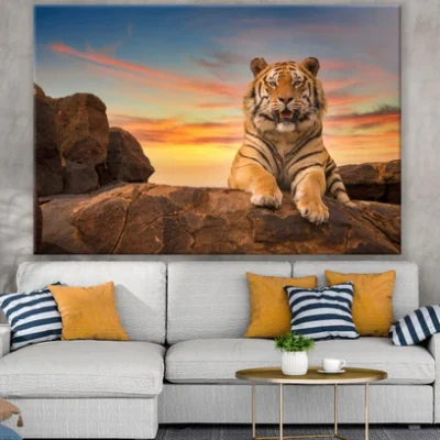 Tiger on a Rock Sunset Photograph Print 100% Australian Made