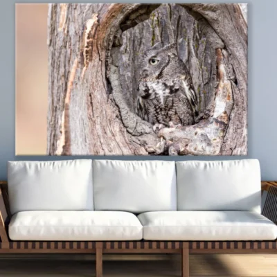 Owl on a Tree Photograph Print 100% Australian Made