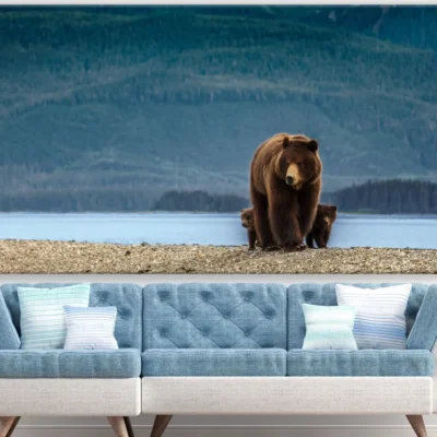 Bear & Cubs Near River Photograph Print 100% Australian Made