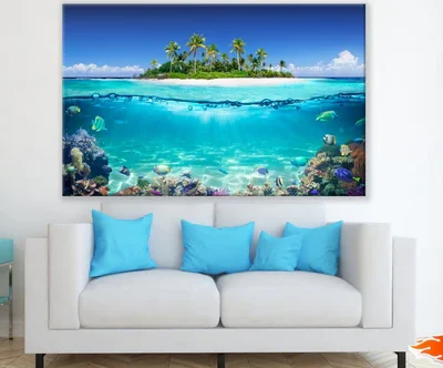 Underwater Fish Life Photograph Print 100% Australian Made