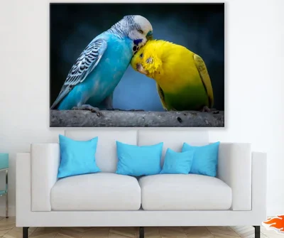 Love Birds Closeup Photograph Print 100% Australian Made