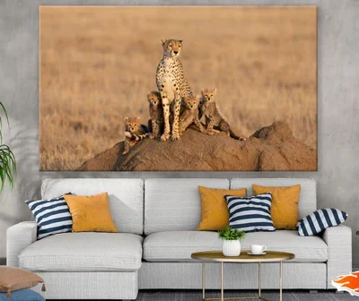Cheetah & Cubs on a Rock View Print 100% Australian Made