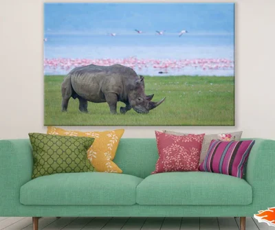 Rhino on A Ground Near River Print 100% Australian Made