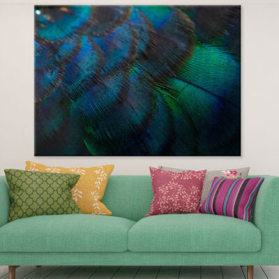 Colorful Feathers Closeup Photograph Print 100% Australian Made