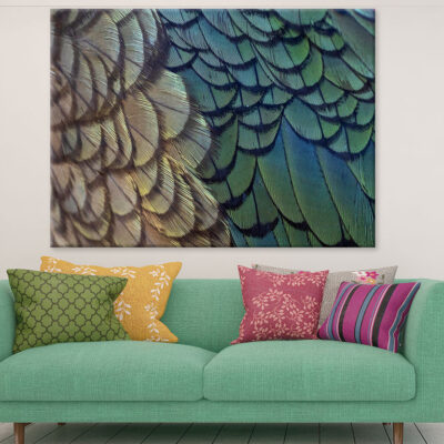 Colorful Feathers Closeup Photograph Print 100% Australian Made