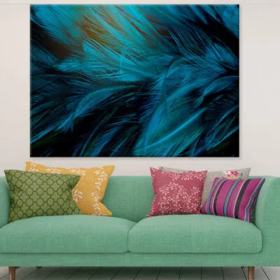 Colorful Feathers Closeup Photograph Print 100% Australian Made