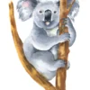 Koala Bear Watercolor Painting Print 100% Australian MadeKoala Bear Watercolor Painting Print 100% Australian Made - Image 2