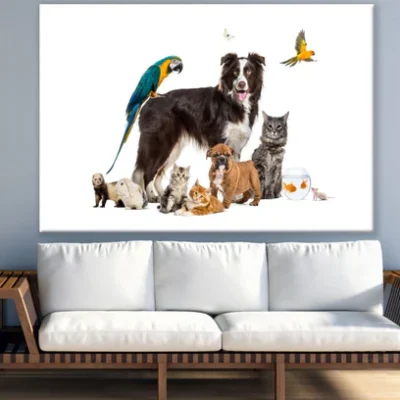 Animals Closeup Photograph Print 100% Australian Made