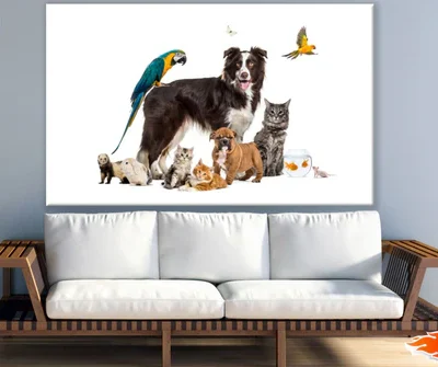 Dog Cats & Birds Photograph Print 100% Australian Made