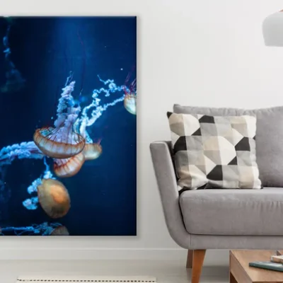 Jelly Fish Underwater Photograph Print 100% Australian Made
