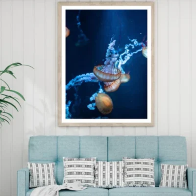 Jelly Fish Underwater Photograph Home Decor Premium Quality Poster Print Choose Your Sizes