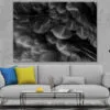 B&W Feathers Closeup Photograph Print 100% Australian Made - Image 2
