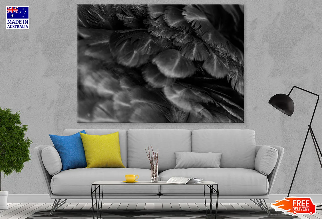 B&W Feathers Closeup Photograph Print 100% Australian Made - Image 2