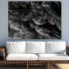 B&W Feathers Closeup Photograph Print 100% Australian Made